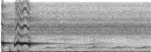 Doğulu Kara Başlı Pitta (mefoorana) - ML203999101