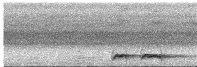 Doğulu Kara Başlı Pitta (mefoorana) - ML203999111
