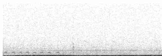 Spotless Crake - ML203999151