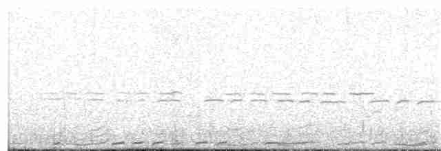 Spotless Crake - ML203999161