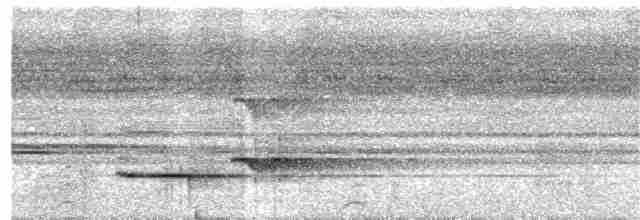 Крючкоклювый зимородок - ML203999361