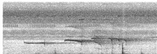 Крючкоклювый зимородок - ML203999381