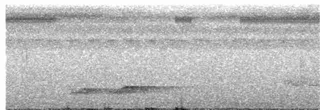 Doğulu Kara Başlı Pitta (novaeguineae/goodfellowi) - ML203999431