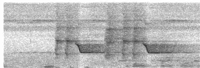 Glanzfleckdrongo (carbonarius) - ML203999541