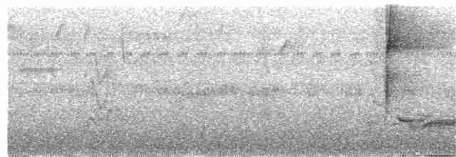 Синеголовая веерохвостка - ML203999781