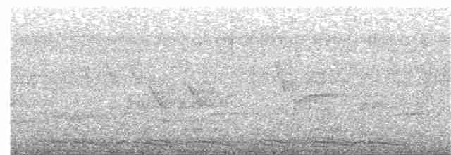 Rufous Hornbill (Northern) - ML203999801