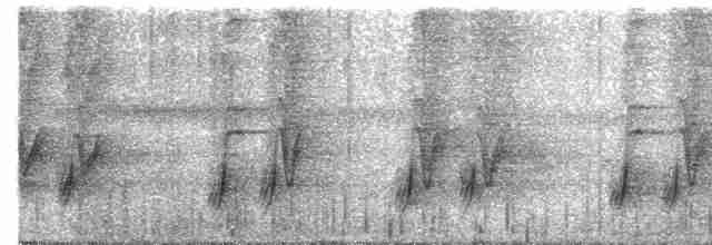  - Philippine Fairy-bluebird