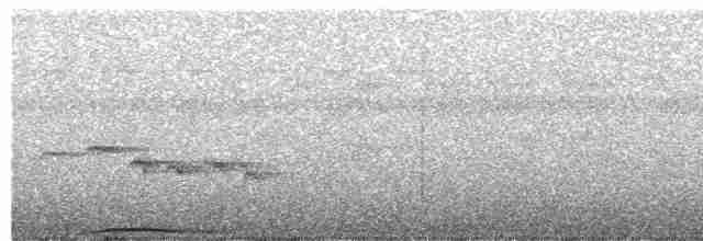 holub černobradý - ML204000041