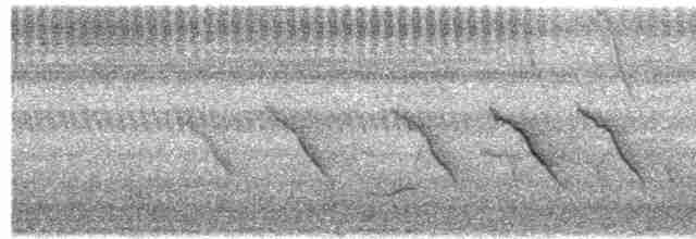 フィリピンオオサンショウクイ - ML204000211