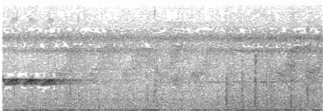 Blythparadiesschnäpper [affinis-Gruppe] - ML204000451