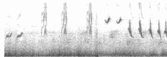 Singing Bushlark (Australasian) - ML204002701