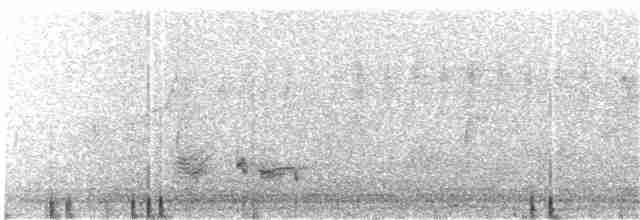 Bulbul de Blanford Occidental - ML204004781