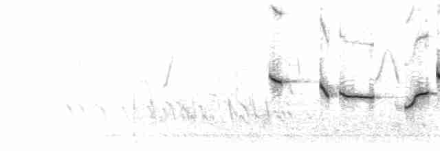 Tüpfelborstenvogel - ML204005391