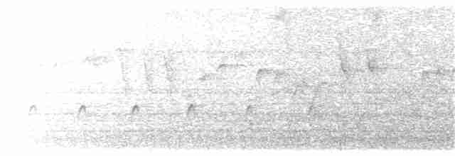 Weißflecken-Ameisenpitta - ML204006751