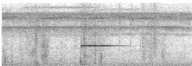 Pullu Çıtkuşu [marginatus grubu] - ML204008581