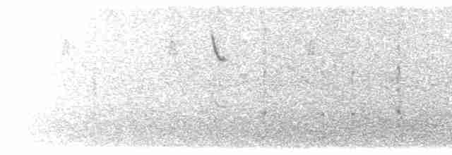 Paradoxornis de Przewalski - ML204009051