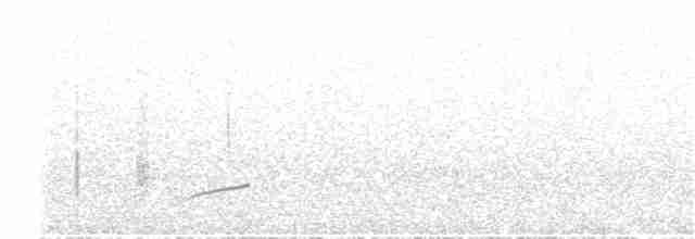 Чернокрылая монашка - ML204009761