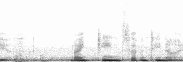 Weißbrustkleiber - ML20401