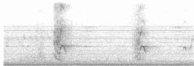 Perruche de Pennant (flaveolus) - ML204010251