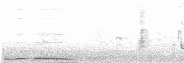 Tourterelle tigrine (chinensis/tigrina) - ML204010551