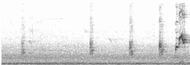 Australian Reed Warbler - ML204010621