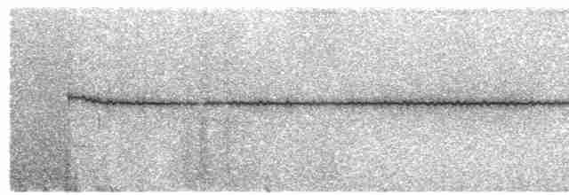  - Black-throated Robin