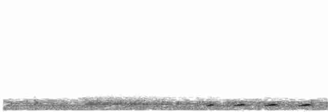 Ptilope orné (gestroi) - ML204011041