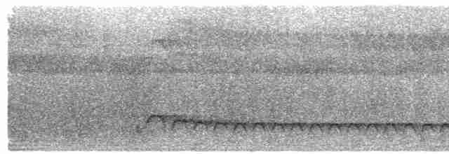  - Brown-headed Paradise-Kingfisher