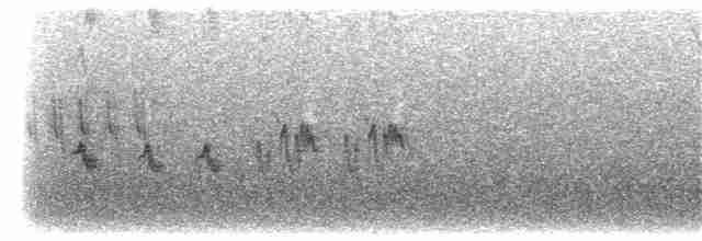 fjellrosenfink (severtzovi gr.) (flekkrosenfink) - ML204011501