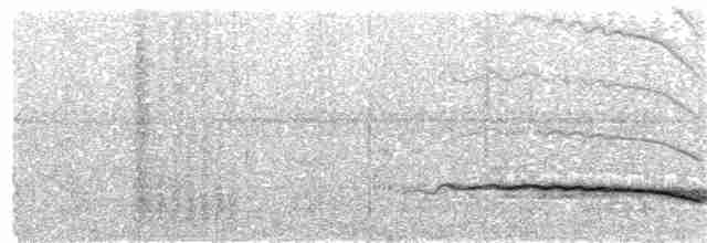 Fiji Shrikebill (Fiji) - ML204012031