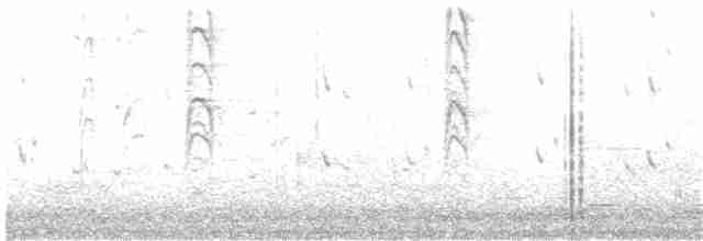 Gray Fantail (alisteri) - ML204012351
