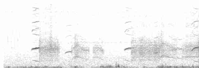 Black-shouldered Kite - ML204012711