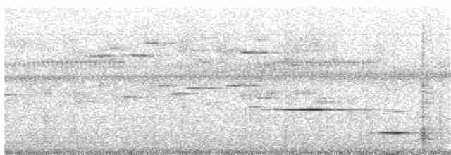 Sulphur-bellied Whistler - ML204012731