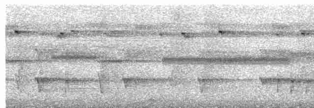 Яструб плямистохвостий - ML204012741