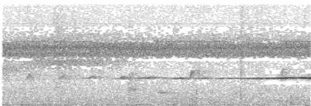 Sclater's Whistler - ML204013081