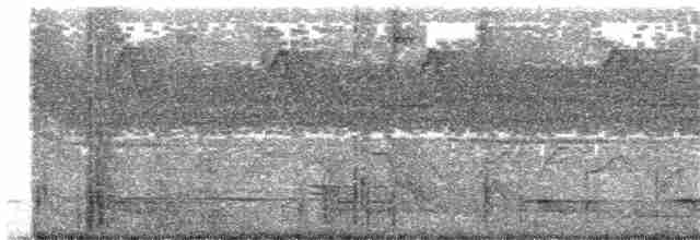 Окулярник біловолий (підвид fuscifrons) - ML204013261