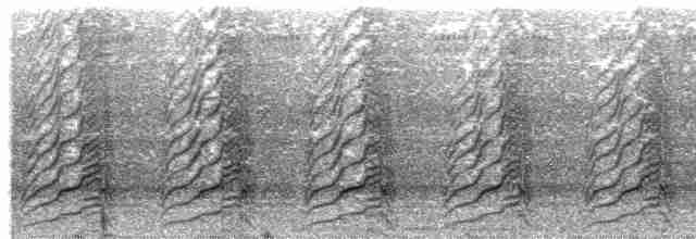 ML204013281 visualization