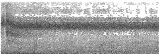 Molukkenparadieskrähe - ML204013291