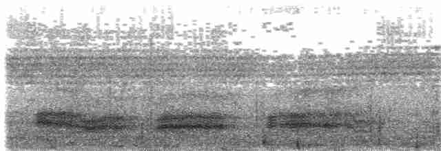 arkipelkråke - ML204013341
