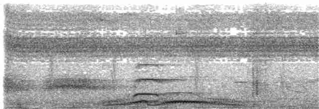 bronsekeiserdue (paulina) - ML204013351