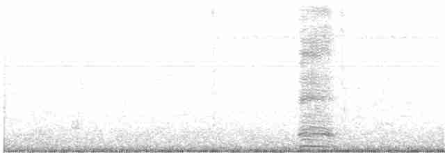 Ібіс білий - ML204013511