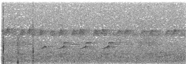 Яструб сірочеревий - ML204013841