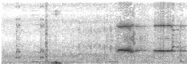 Gallinule sombre - ML204014061