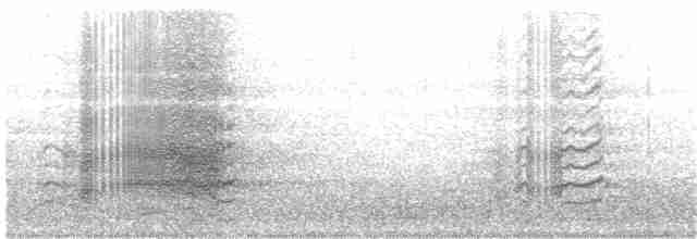 kakadu přílbový - ML204014101