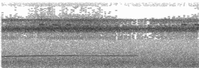Синеголовый зимородок (monachus) - ML204014651