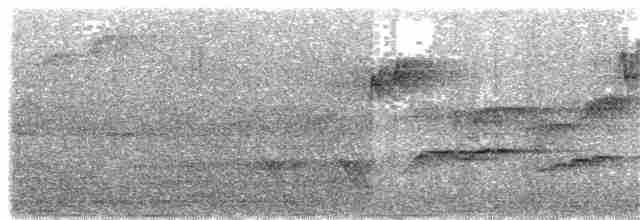 alvefluesnapper (omissus gr.) - ML204014671