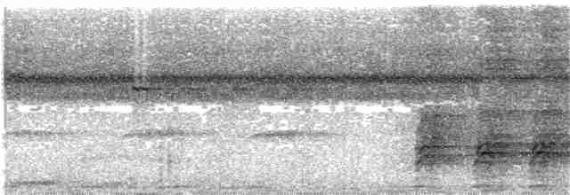Яструб плямистохвостий - ML204014761