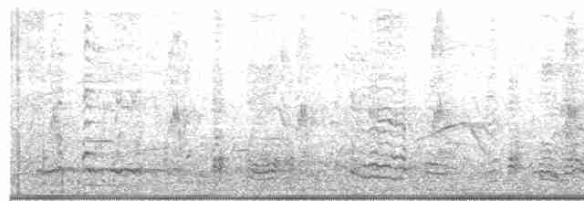 Noisy Friarbird - ML204015751