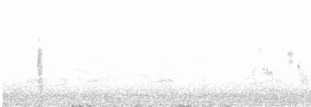 黑腹燕鷗 - ML204015961