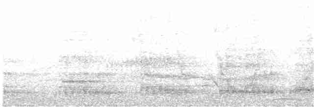 Austral-Schlangenhalsvogel - ML204016001